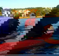 Dolphins and Wildlife Kayak Experience from Gulf Shores - Accommodation Texas