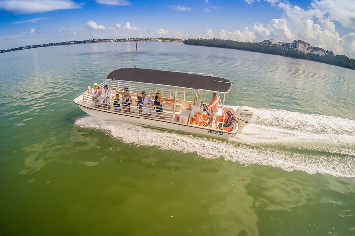 Marco Island Dolphin-Watching Tour - thumb 0